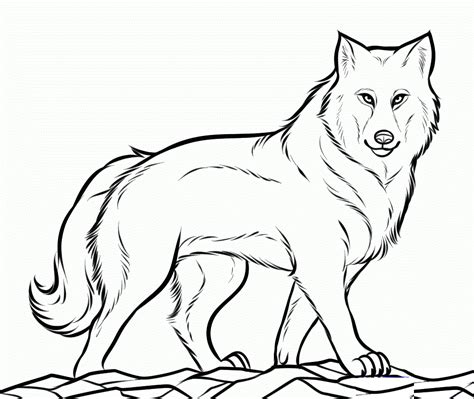 cute easy wolf coloring pages